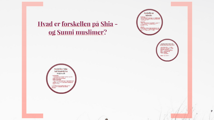 Forskellen På Sunni Og Shia
