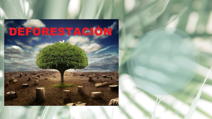 by Valentina Barbieri on Prezi