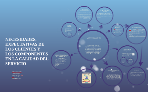NECESIDADES, EXPECTATIVAS DE LOS CLIENTES Y LOS COMPONENTES by on Prezi