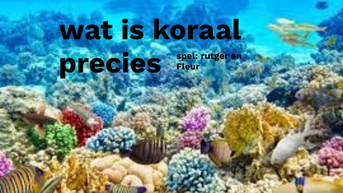 wat is koraal precies by Fleur Spaans on Prezi