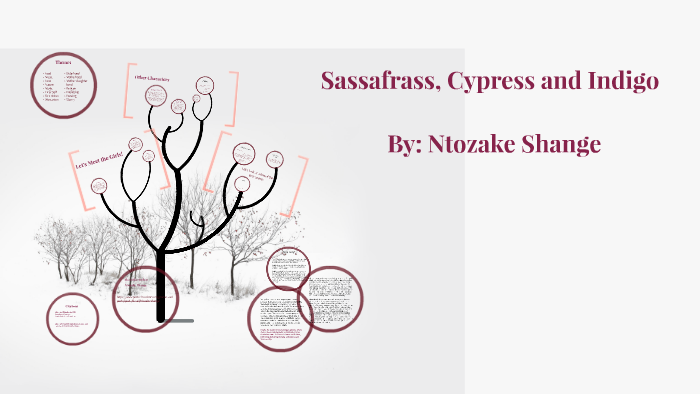 sassafrass cypress and indigo sassafrass cypress and indigo