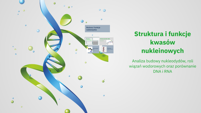 Struktura i funkcje kwasów nukleinowych by Tomek Ulkiewicz on Prezi