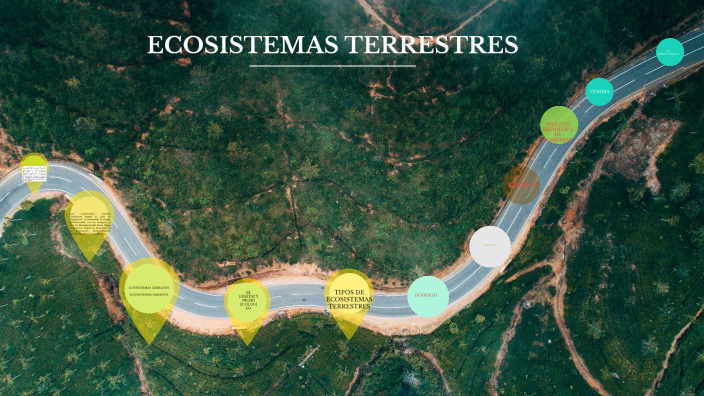 ECOSISTEMAS TERRESTRES by ALEXANDER LUC CAAL on Prezi