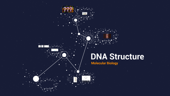 DNA Structure by upsilon tset on Prezi