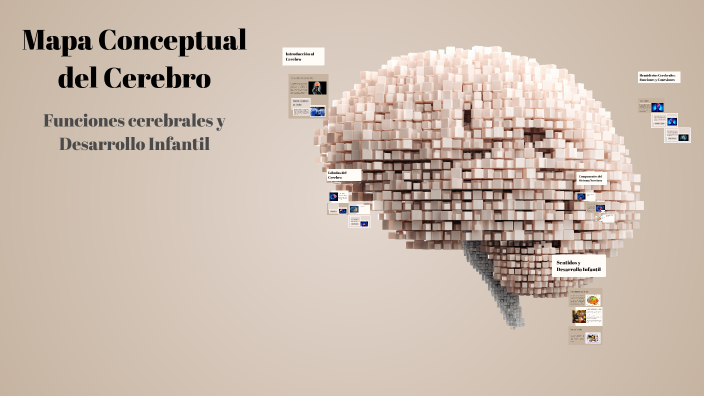 Mapa Conceptual del Cerebro by Dana Ramos Díaz on Prezi