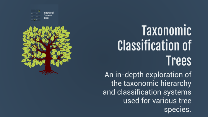 Taxonomic Classification of Trees by Fernando barri on Prezi