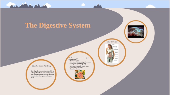 The Digestive System by Dannah Liz on Prezi