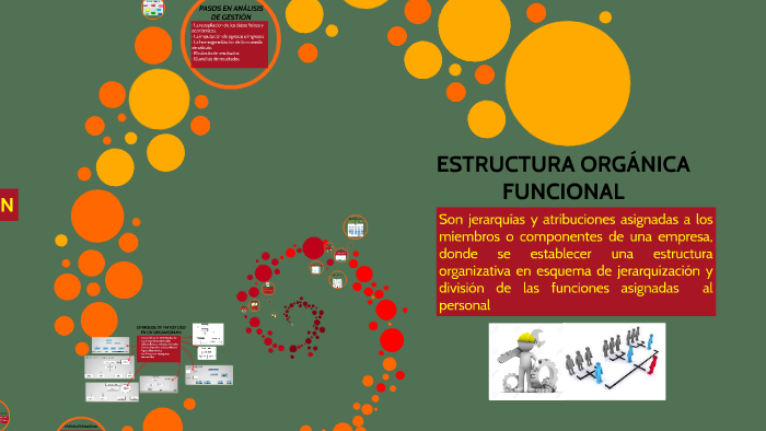 Estructura Organica Funcional By Pablo Alonso On Prezi 1317