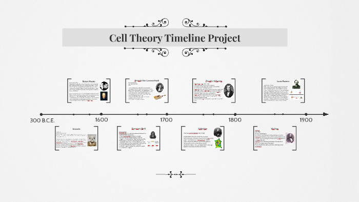 Development Of Cell Theory Timeline