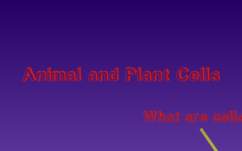 Animal and Plant Cells by Kendall G. on Prezi