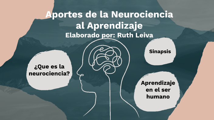 Aportaciones De La Neurociencia Al Aprendizaje By Rut Leiva On Prezi