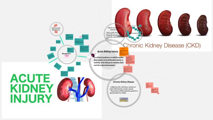 Acute Kidney Injury & Chronic Kidney Disease by Tomadir Alkhansaa on Prezi