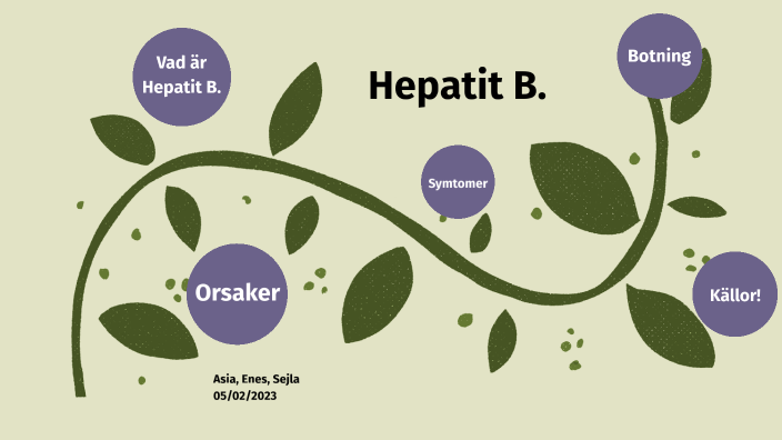 Hepatit B. By Enes Erdal On Prezi