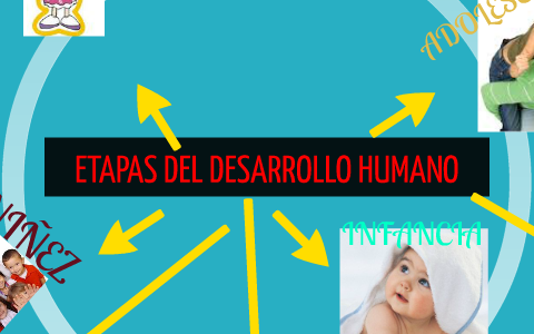 ETAPAS DEL DESARROLLO HUMANO by Martha Velasquez