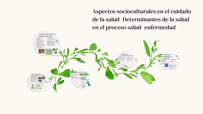 Aspectos socioculturales en el cuidado de la salud- Determinantes de la ...