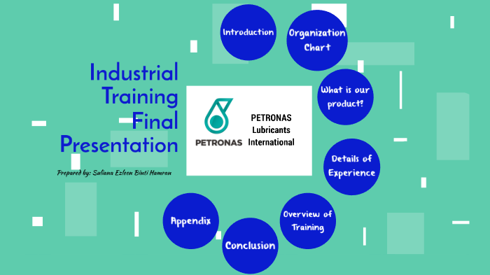 Petronas Organization Chart
