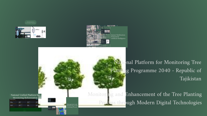 Understanding Trees: Structure, Types, and Importance by Tree Green on ...