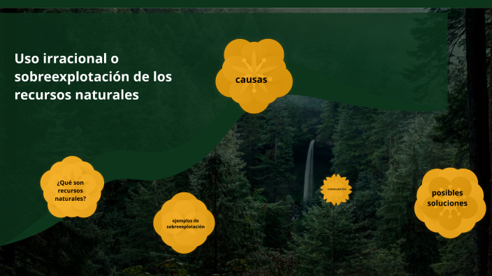 uso irracional o sobreexplotacion de los recursos naturales by ana