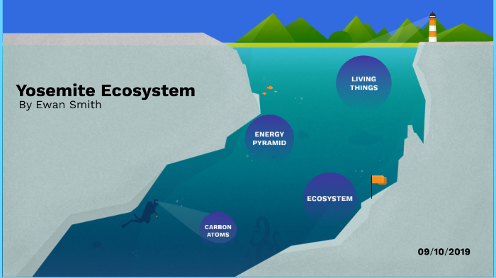 Yosemite Ecosystem by Ewan Smith on Prezi