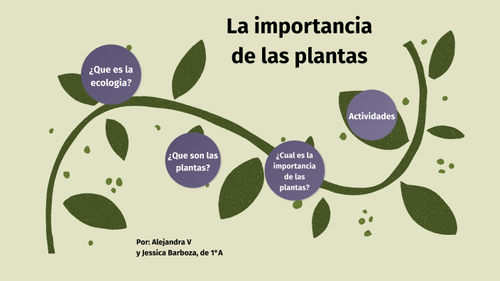 La importancia de las plantas by Alejandra Valentina Medina Villarreal