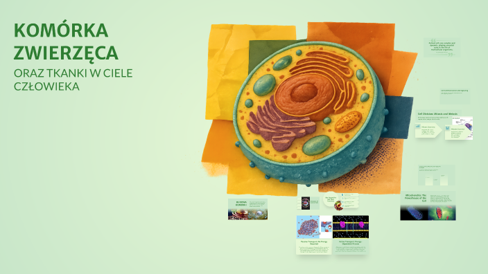 Understanding the Animal Cell by Julia Korbicz on Prezi