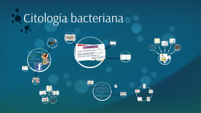 Citologia bacteriana by Alfredo Sánchez on Prezi