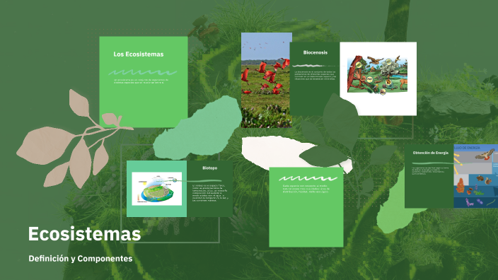 Ecosistemas by Diana Silva on Prezi