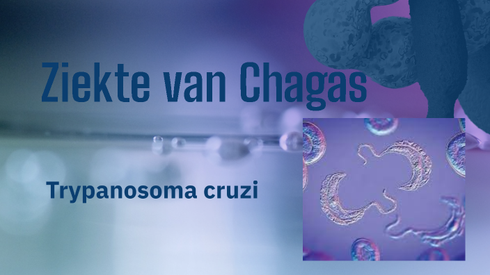 Ziekte van Chagas by Claudia delvasto on Prezi