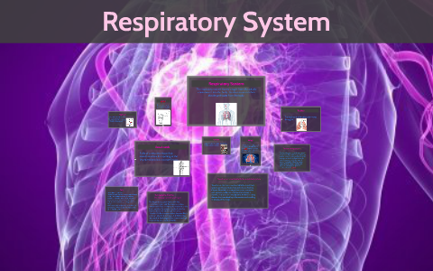 Respiratory System by Deja M. on Prezi