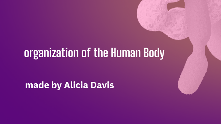 Anatomy of the Human Body by Alicia Davis on Prezi