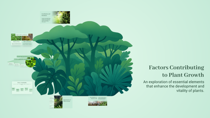 Factors Contributing to Plant Growth by Ifaza Ajward on Prezi