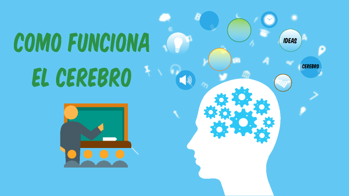 COMO FUNCIONA EL CEREBRO by Melissa Candelario on Prezi