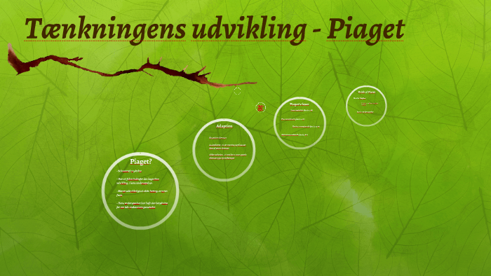 T nkningens udvikling Piaget by Line Nielsen on Prezi