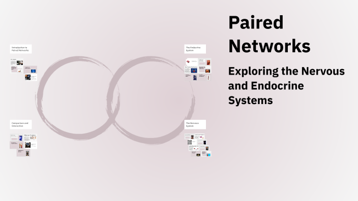 Paired Networks by FELDA SIANO on Prezi