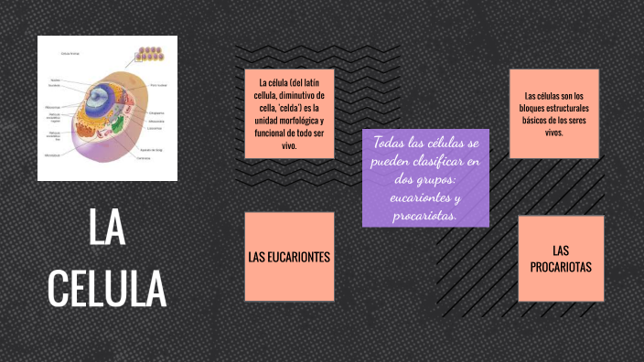 La Celula by Daniella CE on Prezi