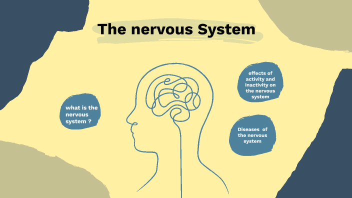 The Nervous System by Eliot Launay on Prezi