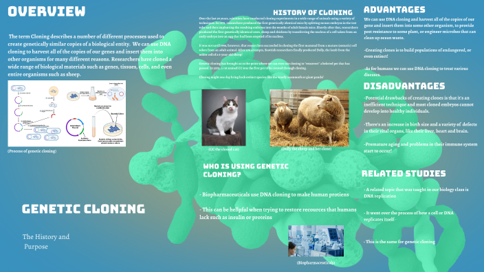Genetic Cloning by Alisa Perreault on Prezi