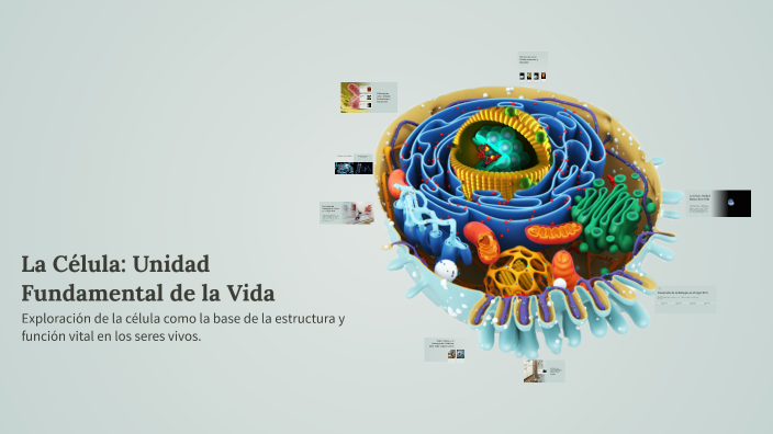 La Célula: Unidad Fundamental de la Vida by tere sipac on Prezi
