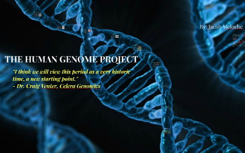 The Human Genome Project Historical Significence by jacob meloche on Prezi