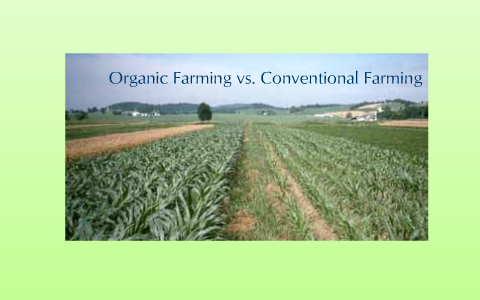 organic farming vs conventional farming
