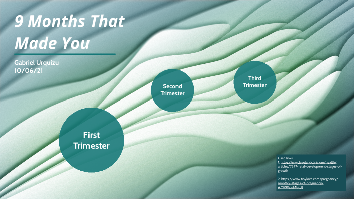 9 Months That Made You by Gabriel Urquizu on Prezi