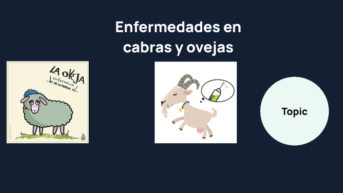 Enfermedades En Ovejas Y Cabras By Carlos Siquiera Salazar Sequeira