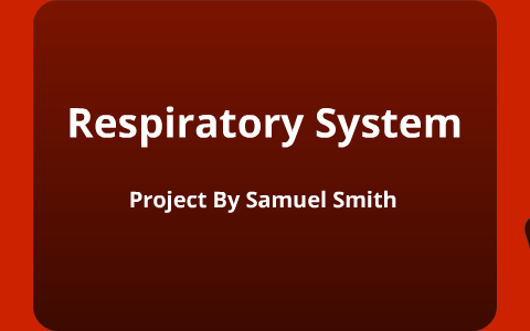 Respiratory System by Samuel Smith on Prezi