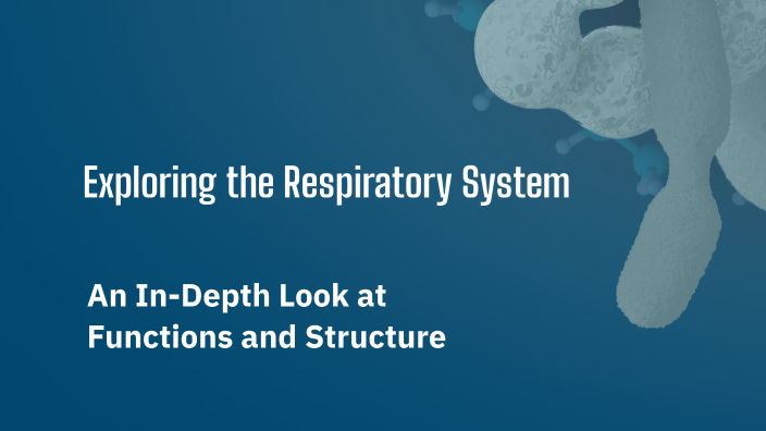 The respiratory System by Taryn Smith on Prezi