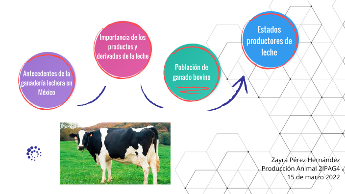 ZOOTECNIA DE BOVINOS PRODUCTORES DE LECHE by Zayra Pérez Hernández on Prezi