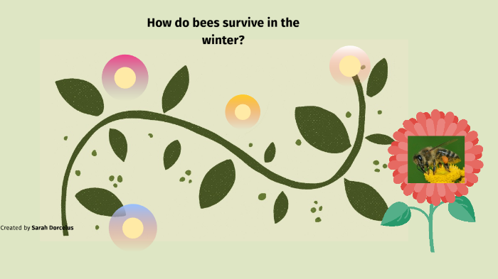 How Do Bees Survive The Winter By Sarah Dorcelus