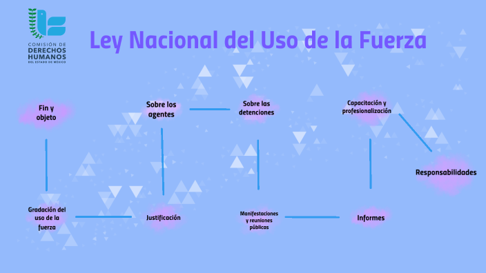 Ley Nacional De Uso De La Fuerza
