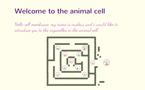 A journey through the animal cell by Leinsa McNally on Prezi