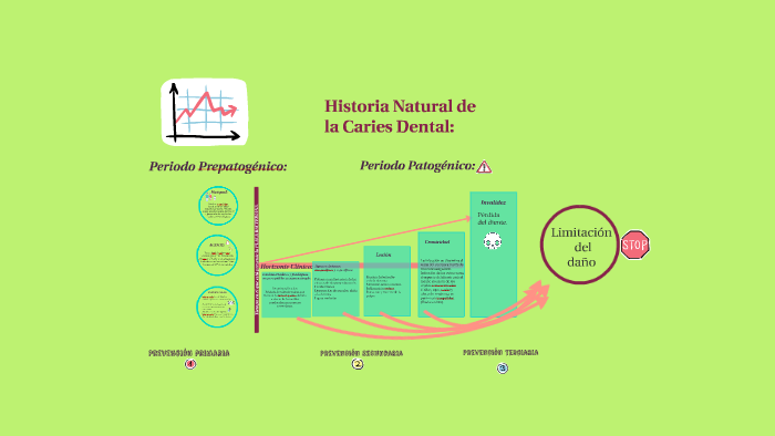 Historia Natural de la Caries Dental: by Sofía Guerra on Prezi
