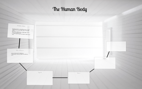 The Human Body by on Prezi